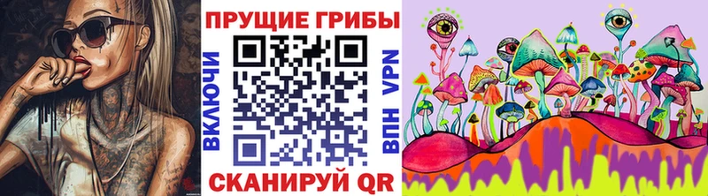 Купить закладки  Кемерово  Псилоцибиновые грибы MAGIC MUSHROOMS 
